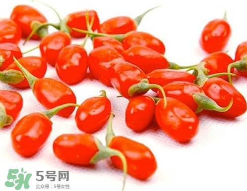 枸杞鮮果能吃嗎？鮮枸杞好還是干枸杞好