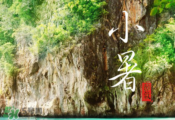 小暑是入伏嗎？小暑是不是入伏？