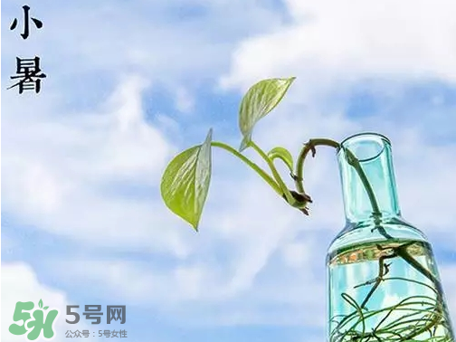 小暑是頭伏嗎？小暑是初伏嗎？