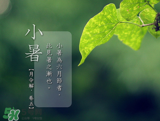 2017年小暑會(huì)下雨嗎？小暑這一天下雨好嗎？