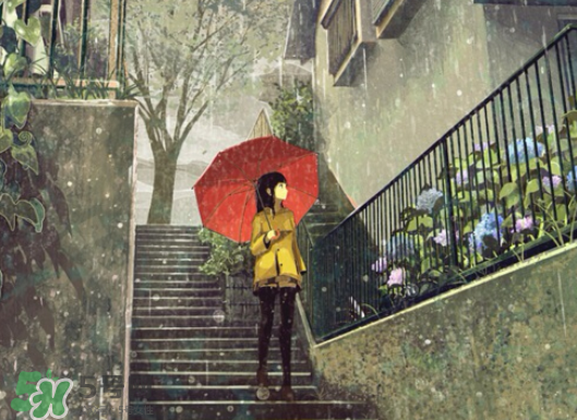 2017年小暑會(huì)下雨嗎？小暑這一天下雨好嗎？