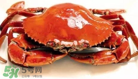 石夾紅螃蟹什么時(shí)候有？石夾紅螃蟹什么時(shí)候最肥