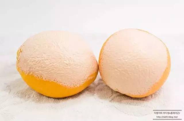 悅詩風(fēng)吟洗臉儀好用嗎？悅詩風(fēng)吟洗臉儀和luna潔面儀對比