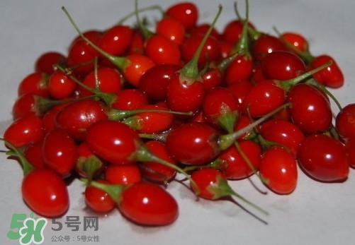 枸杞鮮果怎么吃？吃枸杞鮮果有什么好處