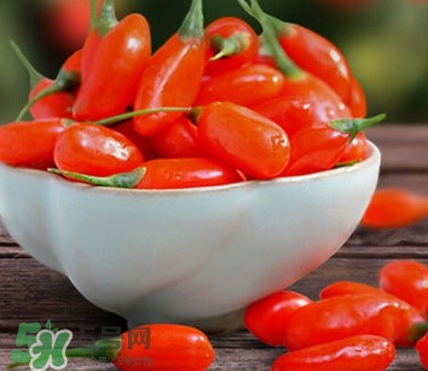 枸杞鮮果能吃嗎？鮮枸杞好還是干枸杞好