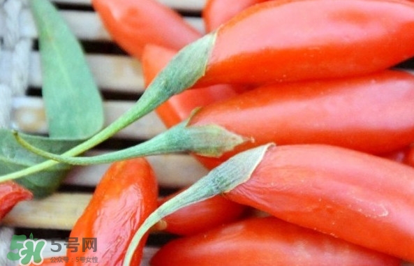 青海和寧夏枸杞哪個好？青海枸杞和寧夏枸杞的區(qū)別