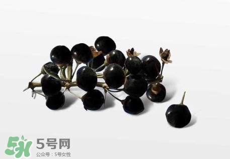 新鮮枸杞多少錢一斤？2017枸杞鮮果價(jià)格