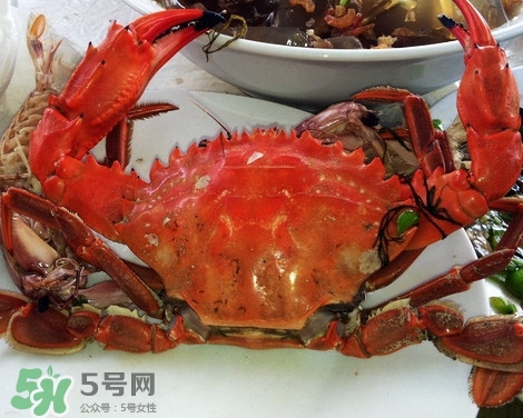 石夾紅螃蟹什么時(shí)候有？石夾紅螃蟹什么時(shí)候最肥