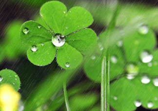 2017年小暑會下雨嗎？小暑這一天下雨好嗎？