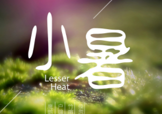 小暑是頭伏嗎？小暑是初伏嗎？