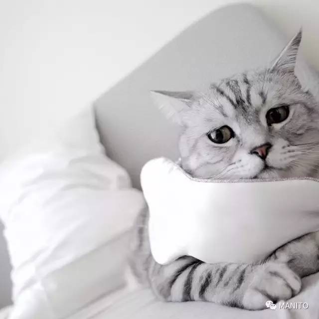 manito真絲眼罩多少錢？manito真絲眼罩專柜價(jià)格