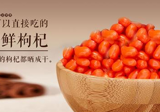 枸杞鮮果能吃嗎？鮮枸杞好還是干枸杞好