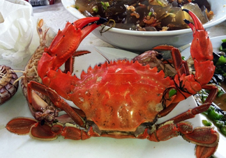 石夾紅螃蟹怎么吃？石夾紅螃蟹煮多久