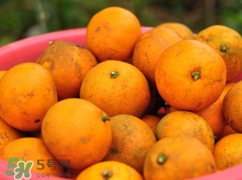 桔子什么時候成熟？桔子什么時候上市？