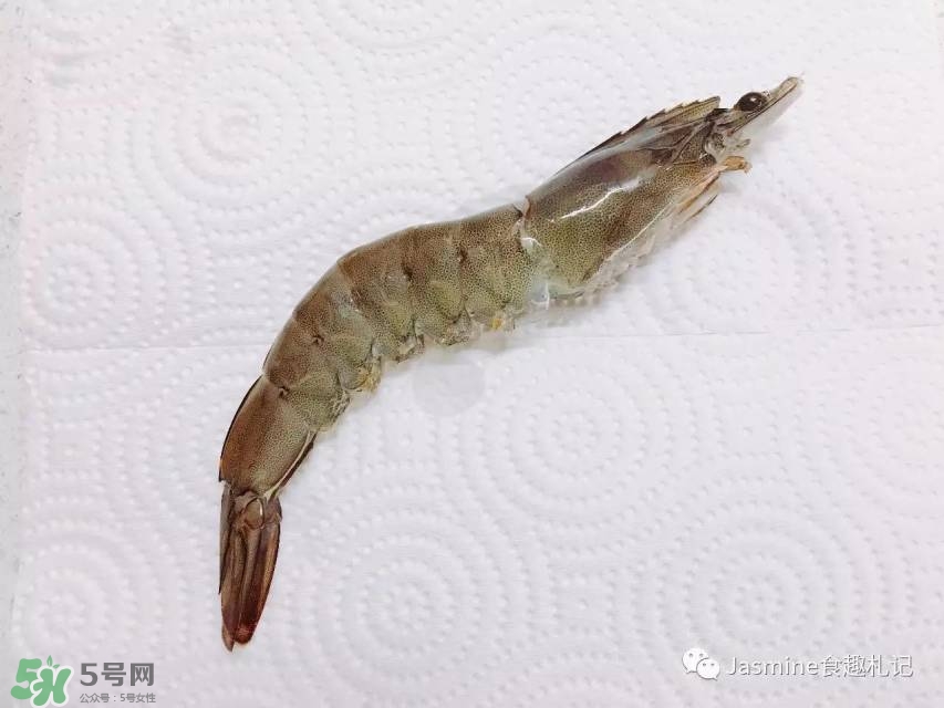 基圍蝦蝦線怎么去除 基圍蝦去蝦線圖解 基圍蝦蝦線怎么去除 基圍蝦去蝦線圖解