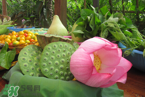 蓮蓬什么味道？蓮蓬好吃嗎？