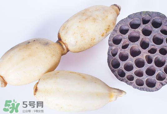 蓮蓬和蓮藕一樣嗎？蓮蓬和蓮藕的區(qū)別