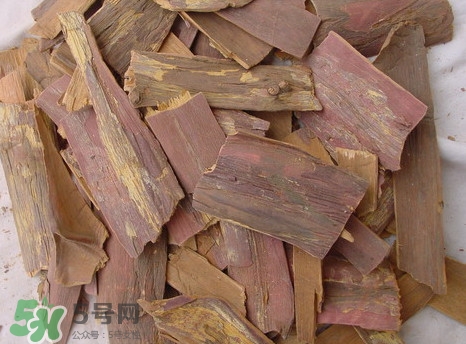 紅豆杉樹皮多少錢一斤？2017紅豆杉市場價