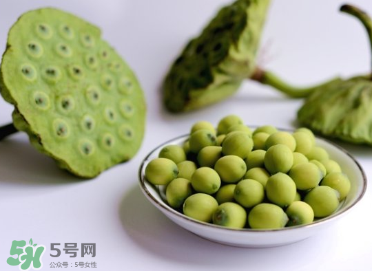 新鮮蓮蓬怎么保存？新鮮蓮蓬怎么保鮮？