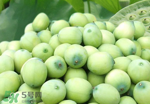 新鮮蓮蓬孕婦能吃嗎？孕婦可以吃新鮮蓮蓬嗎？