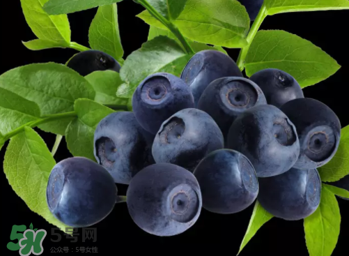 新鮮藍(lán)莓可以直接吃嗎？新鮮藍(lán)莓怎么吃才好吃？