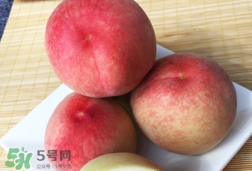 脆桃是什么品種？脆桃什么時(shí)候上市