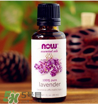 now foods精油怎么樣？now foods精油怎么用？