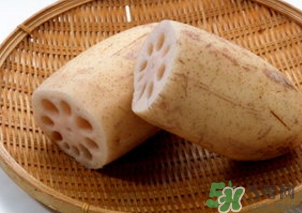 紅蓮藕和白蓮藕哪個好？紅蓮藕和白蓮藕區(qū)別