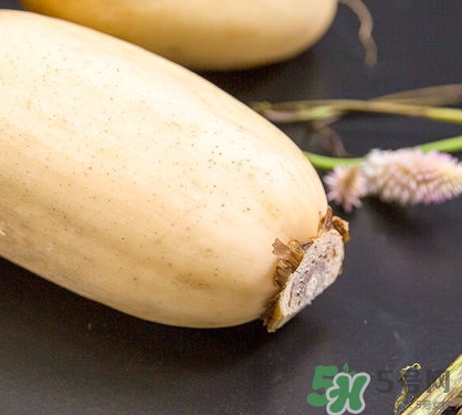 紅蓮藕和白蓮藕哪個好？紅蓮藕和白蓮藕區(qū)別