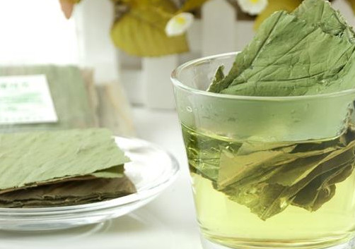 荷葉茶要不要清洗？荷葉茶喝了會上火嗎