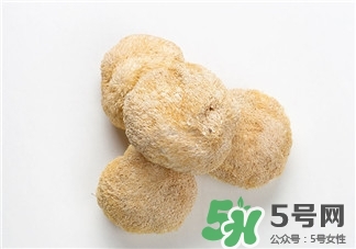 猴菇是什么東西?猴菇怎么做好吃? 猴菇是什么東西?猴菇怎么做好吃?