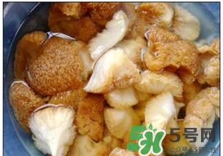 猴菇是什么東西?猴菇怎么做好吃? 猴菇是什么東西?猴菇怎么做好吃?