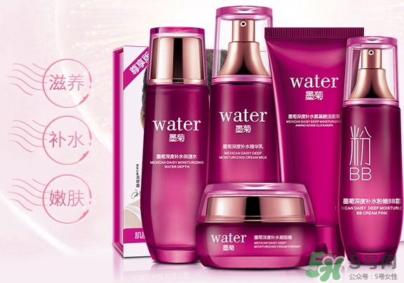 一枝春是什么牌子？一枝春化妝品怎么樣