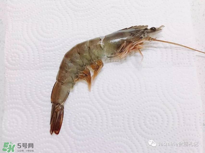 基圍蝦蝦線怎么去除 基圍蝦去蝦線圖解 基圍蝦蝦線怎么去除 基圍蝦去蝦線圖解