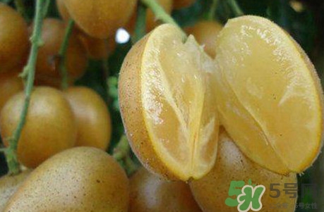 黃皮果可以和香蕉一起吃嗎？黃皮果的食用禁忌有哪些