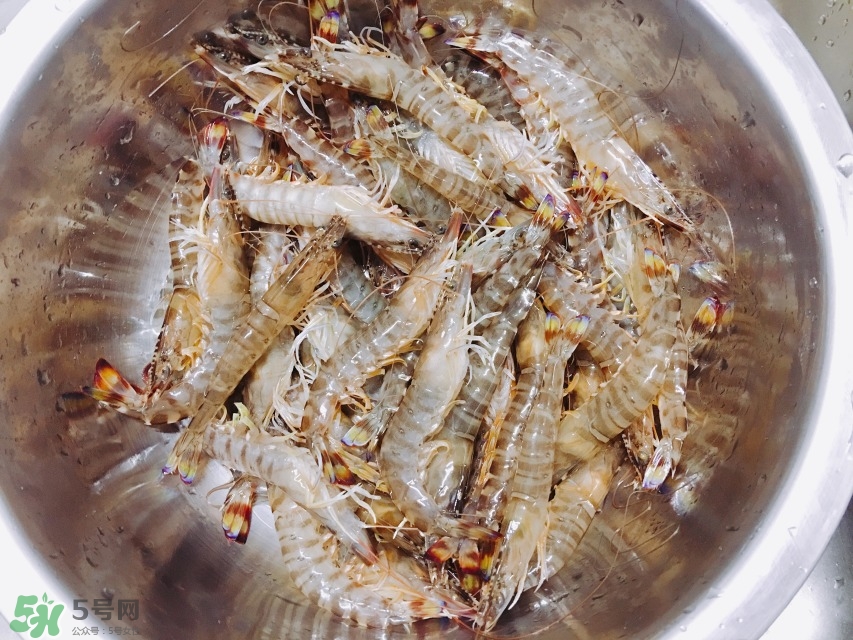 活基圍蝦怎么保存？活基圍蝦怎么處理干凈？