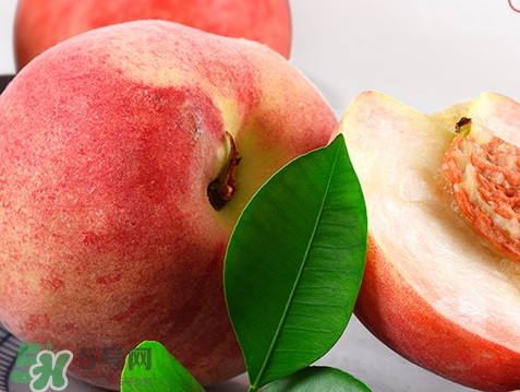 脆桃是什么品種？脆桃什么時(shí)候上市