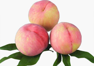 脆桃有什么營(yíng)養(yǎng)？脆桃的營(yíng)養(yǎng)價(jià)值