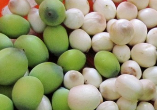 新鮮蓮蓬孕婦能吃嗎？孕婦可以吃新鮮蓮蓬嗎？