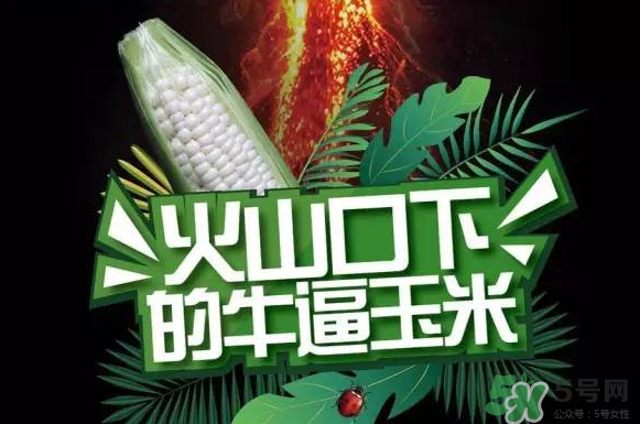 微玉冰糖玉米小孩可以吃嗎？微玉冰糖玉米營(yíng)養(yǎng)豐富嗎？