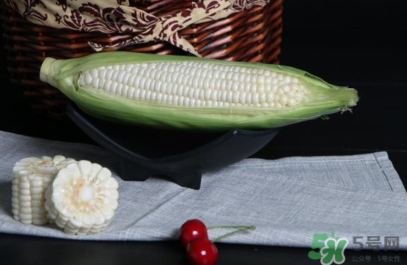 微玉冰糖玉米小孩可以吃嗎？微玉冰糖玉米營(yíng)養(yǎng)豐富嗎？