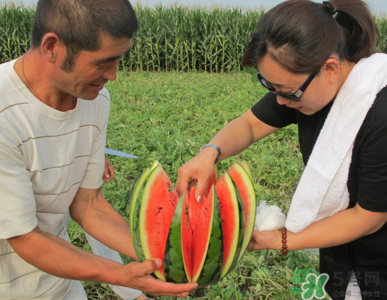 西瓜和玉米能一起吃嗎？西瓜和玉米能同時吃嗎？