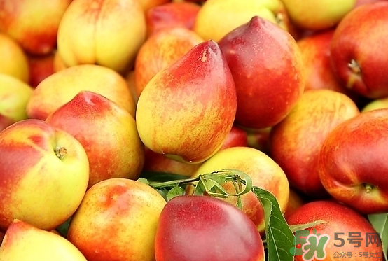 玉米和桃子能一起吃？桃子可以和玉米一起吃嗎？