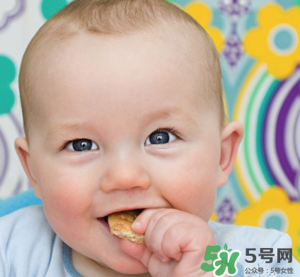 磨牙餅干吃不完怎么辦？磨牙餅干吃到多大？