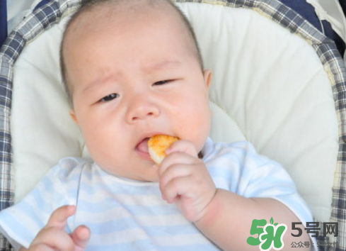 磨牙餅干吃不完怎么辦？磨牙餅干吃到多大？