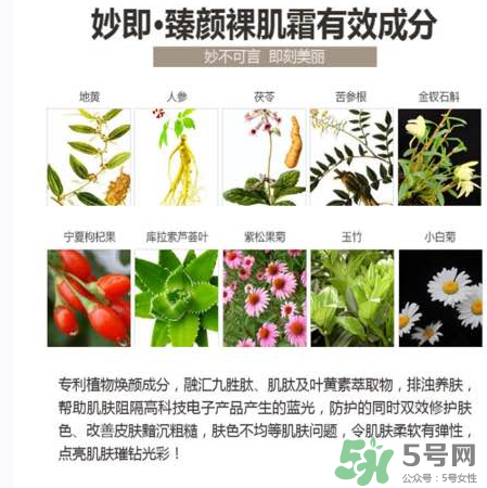 妙即素顏霜怎么樣？妙即素顏霜多少錢一盒？