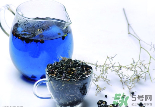 黑枸杞哪里有賣？黑枸杞哪里可以買到