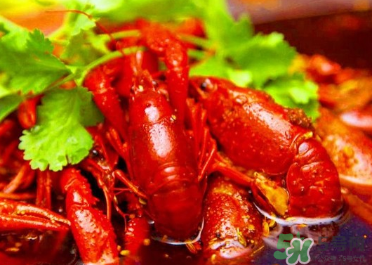 為什么人們都喜歡吃麻辣小龍蝦？小龍蝦為什么這么受歡迎？