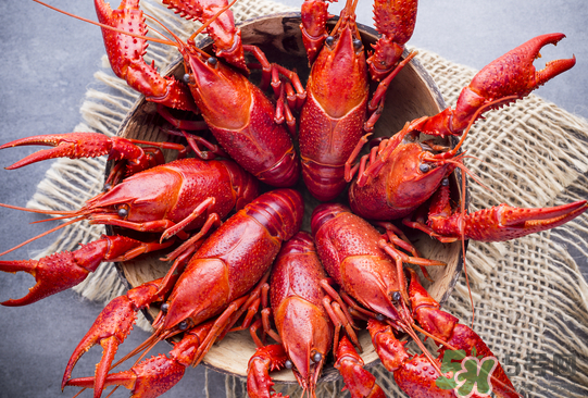 啤酒麻辣小龍蝦怎么做？麻辣小龍蝦為什么放啤酒？