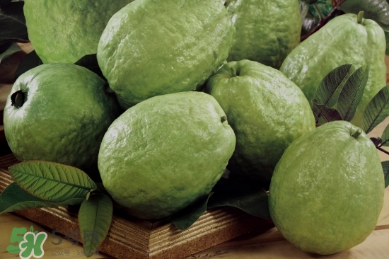 番石榴怎么選好吃？番石榴怎么判斷熟了？